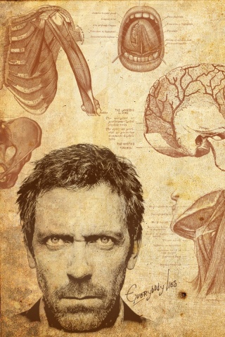 Анатомические рисунки доктора Хауса обои