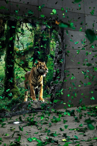 Портал в джунги обои