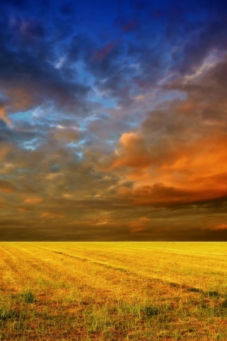 Тучи над желтым полем обои