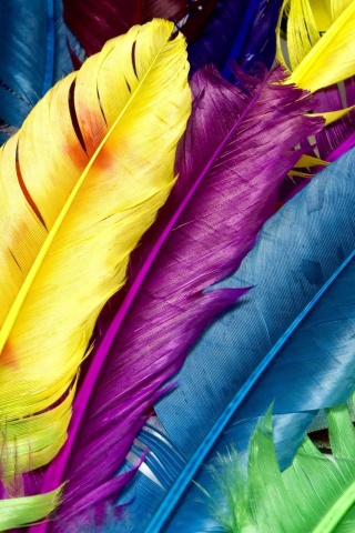 Разноцветные перья обои
