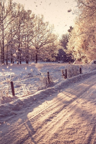 Снежная дорога залитая солнцем обои