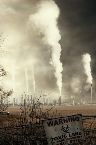 Токсичность обои