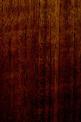 Темно-оранжевое дерево обои