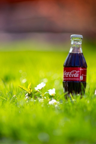 Кока-Кола на траве обои