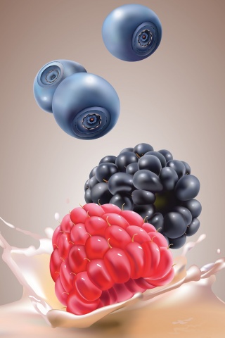 Векторные ягоды обои