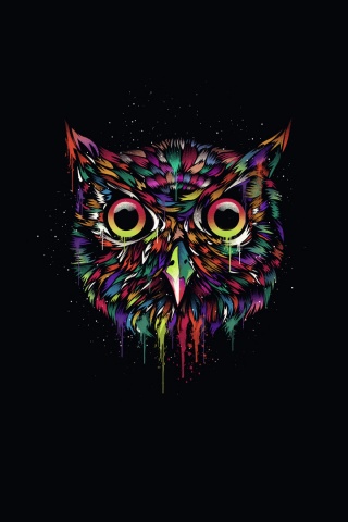 Векторная совиная голова обои