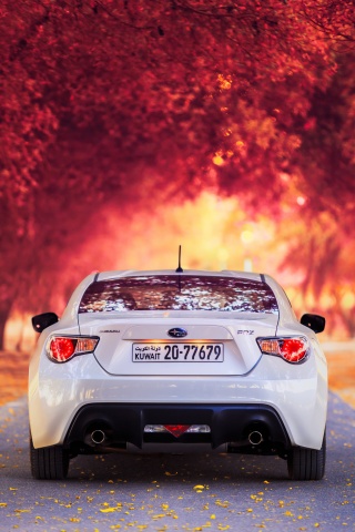 Субару на осенней дороге обои