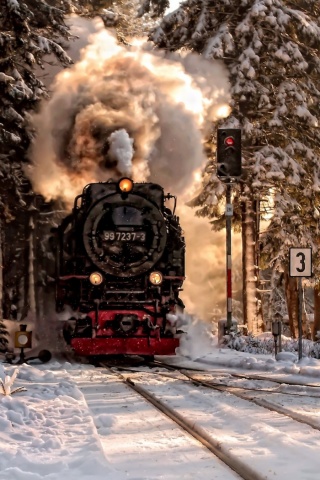 Паровоз в димнем лесу обои