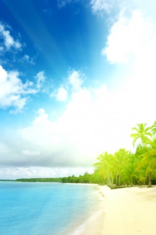 Тропическое побережье обои