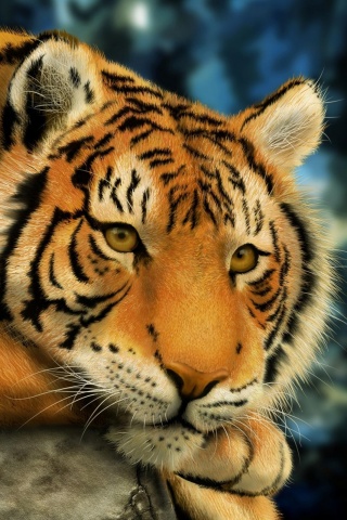 Грустный тигра обои