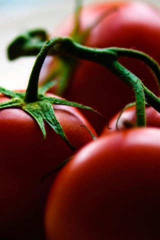 Аппетитные помидоры обои