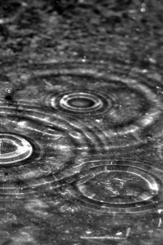 Круги на воде обои