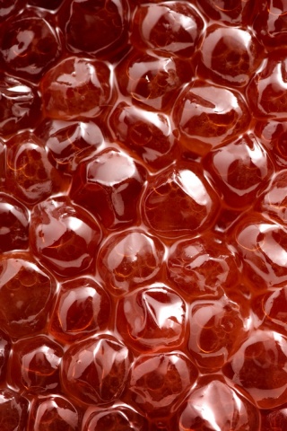 Красная икра обои