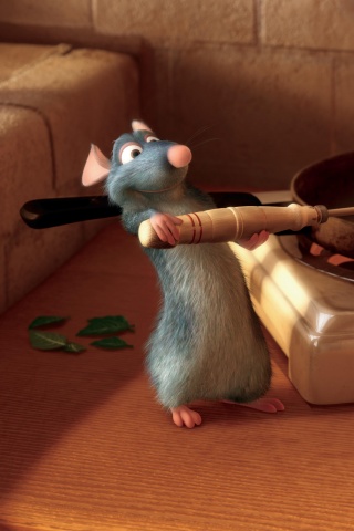 Рататуй у плиты обои