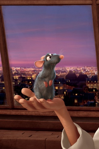 Рататуй на ладони обои