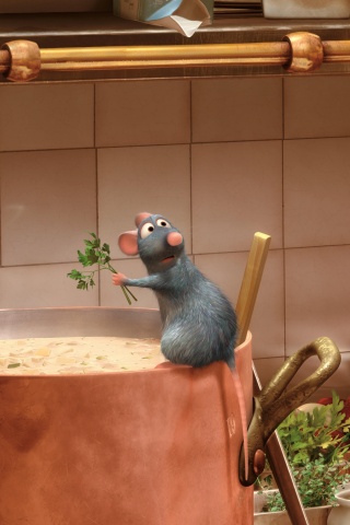 Рататуй варит суп обои