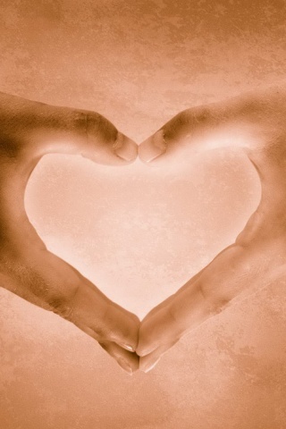 Сердце из сложенных рук обои
