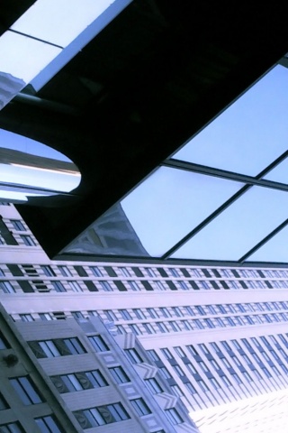 Взгляд вверх обои