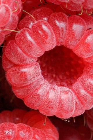 Малина обои