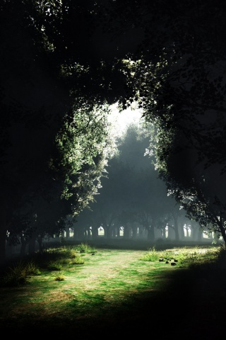 Сумерки в волшебном лесу обои