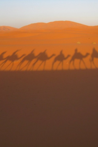 Караван обои