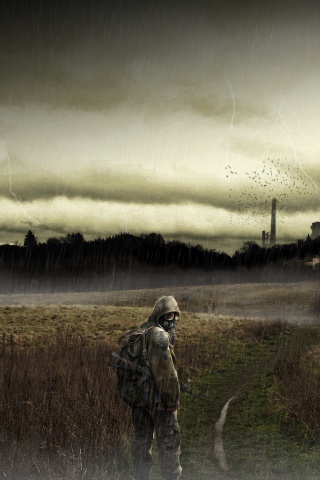 Сталкер под дождем обои
