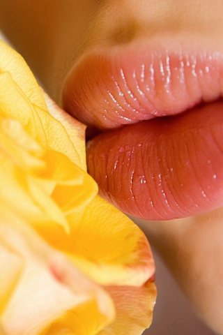 Губы девушки и роза обои