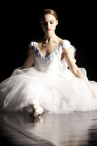 Черный лебедь обои