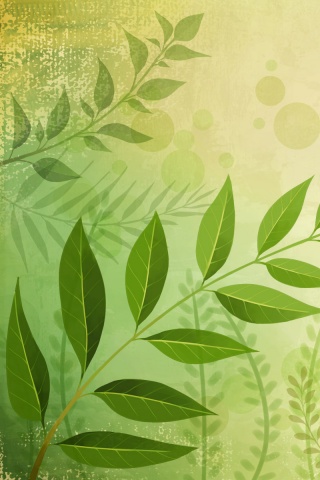 Веточка молодых листьев обои