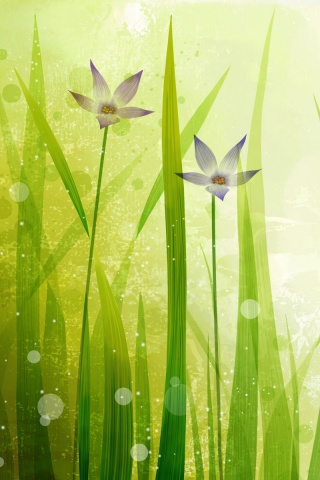 Векторные цветы обои