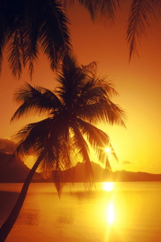 Закат в раю обои