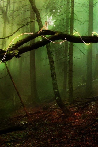 Лесные феи обои