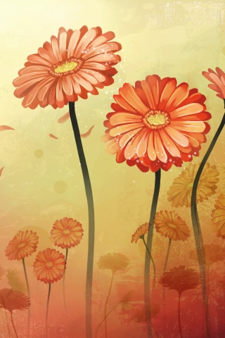 Векторные ромашки обои