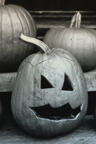 Тыквы на хэллоуин обои