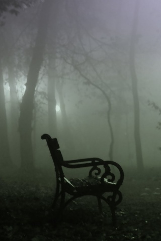 Темный лес обои