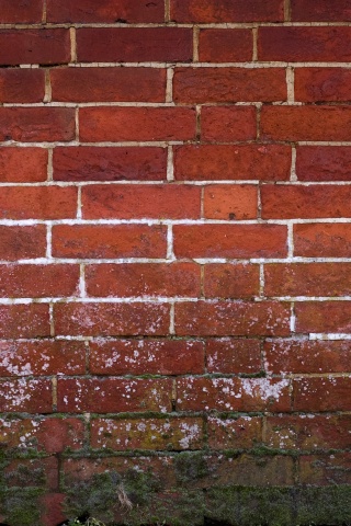 Старая кирпичная стена обои