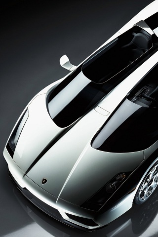 Светло-серый Lamborghini обои