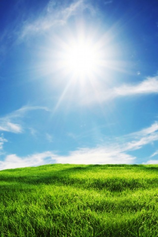 Солнце над холмом обои