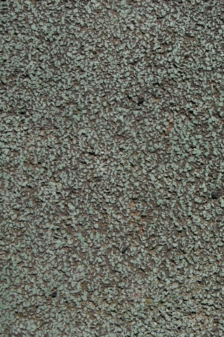 Шершавый камень обои