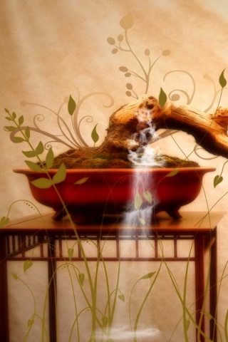 Карликовое дерево обои