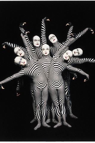 Зеброиды (актеры цирка дю солей) обои