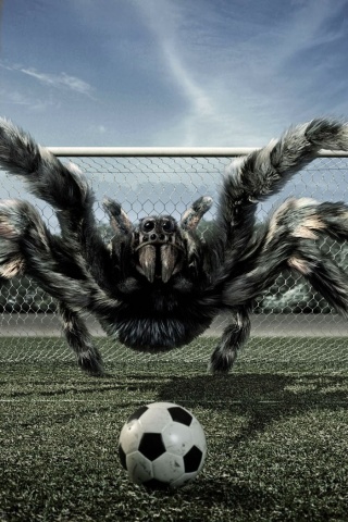 Вратарь обои