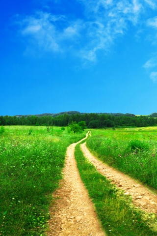 Дорога через луг обои