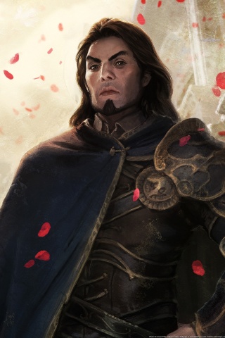 Рыцарь обои