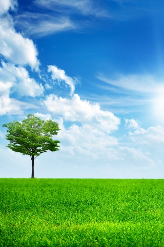 Один в целом мире обои