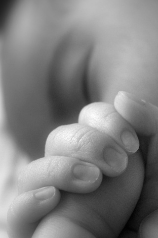 Младенец держит палец обои