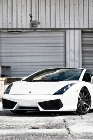 Белый спорткар Ламборгини Галлардо обои