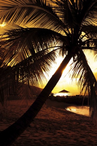 Пляж на закате обои