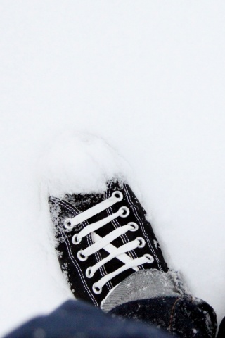 Дурак зимой в кедах обои