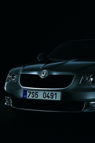 Шкода в темноте обои